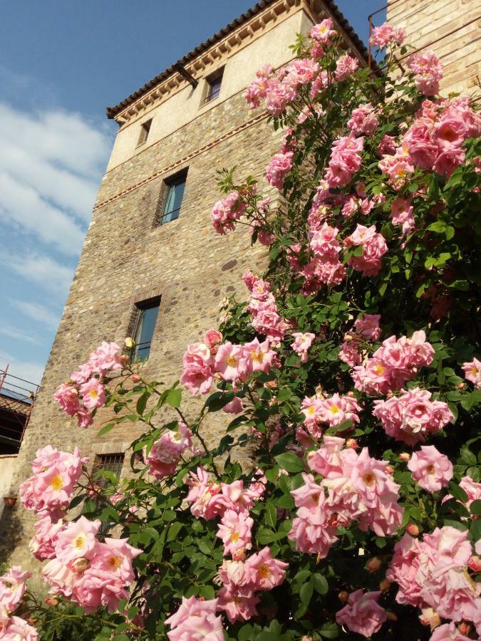 Agriturismo Ca' Preda Villa San Giorgio Piacentino Exterior photo
